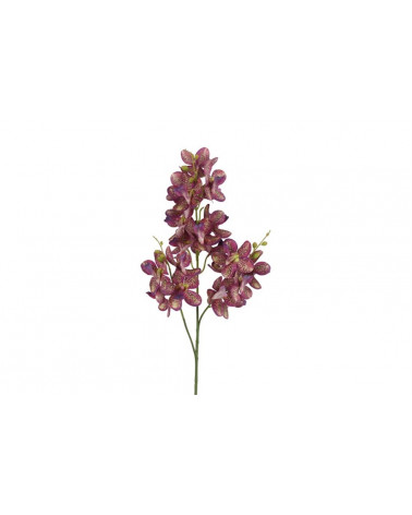 FLORA ASTE ASCOCENDA PURPURA 69CM