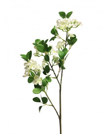 FLORA ASTE SERINGA CREME 65CM