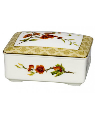 VA CAIXA AMERICANA BLOSSOM 02PN