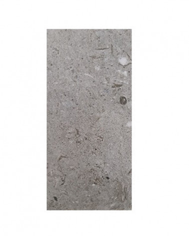 ARGENTA 60X120 ICON ARGENT RC (PRC)