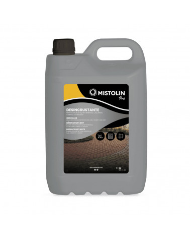 MIST. DESINCRUSTANTE 5L