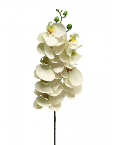 FLORA ASTE PHALAENOPSIS BORA BRANCA 77CM