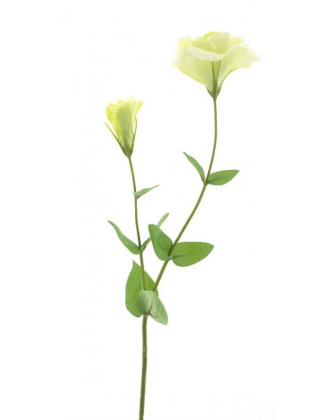 FLORA HASTE EUSTOMA KUMNA VERDE 73CM