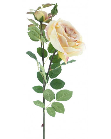 FLORA ROSA SIRIUS COR PESSEGO 74CM