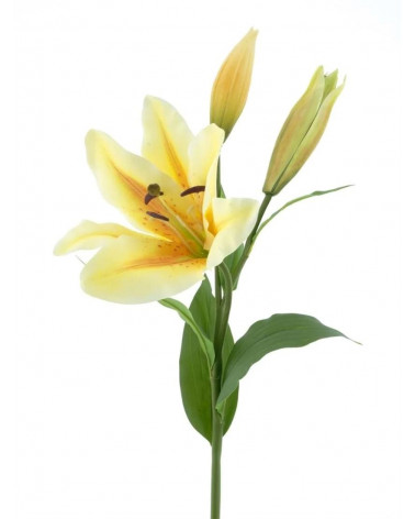 FLORA HASTE LIRIO TIGER AMARELO 81CM