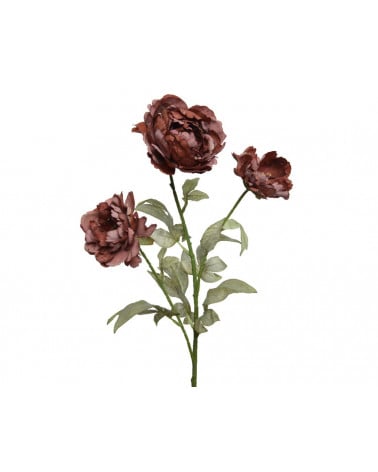 FLORA ASTE PEONIA BORDAUX X3 70CM