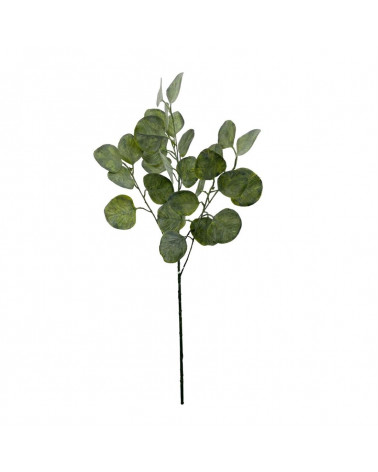 FLORA HASTE EUCALIPTO SILVER DOLAR VERDE 63CM