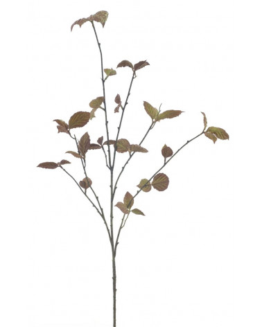 FLORA HASTE FITONNIA BRONZE 115CM