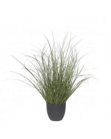 CASA PLANTA ARTIFICIAL ONION GRASS 56CM 43534
