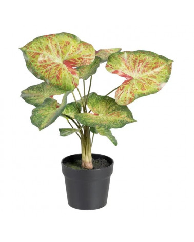 UNI CALADIUM VERMELHO-VERDE PVC 48X46X55CM