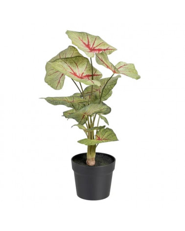 UNI CALADIUM VERMELHO-VERDE PVC 40X35X55CM