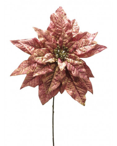 FLORA POINSETIA AVA ROSA 72CM