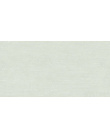 REVESTIMENTO CERÂMICA COR E DECOR VERDE NATURAL / MATE 60X120 CM