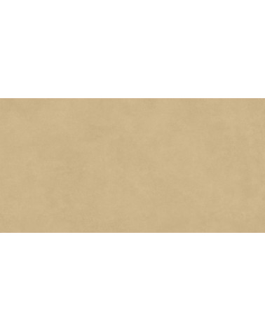 REVESTIMENTO CERÂMICA COR E DECOR LARANJA NATURAL / MATE 60X120 CM
