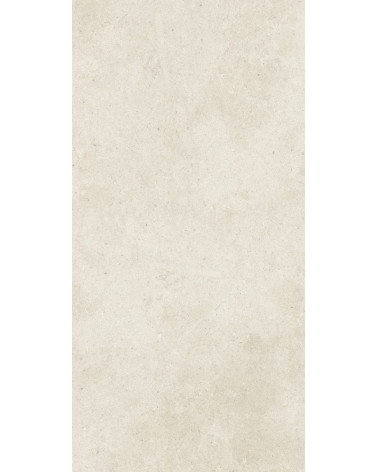 PAVIMENTO CERÂMICA PEDRA BEGE NATURAL / MATE 59X118.2CM